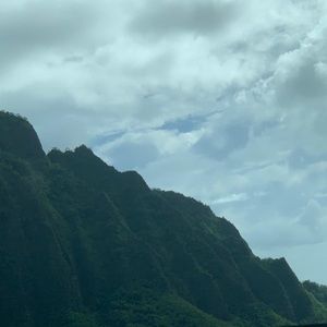 Meet your Posher, Arthur